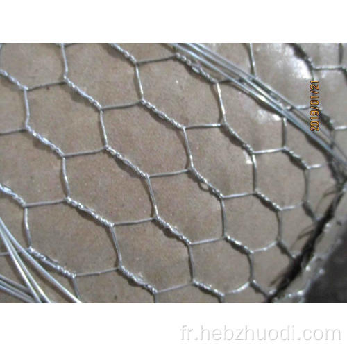 Mesh de fil de poulet hexagonal galvanisé de haute qualité